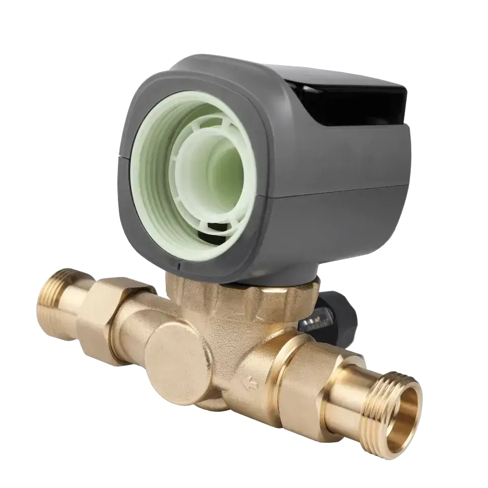 Filtru cu purjare automata, Ecosoft TXHES3, conexiune 1