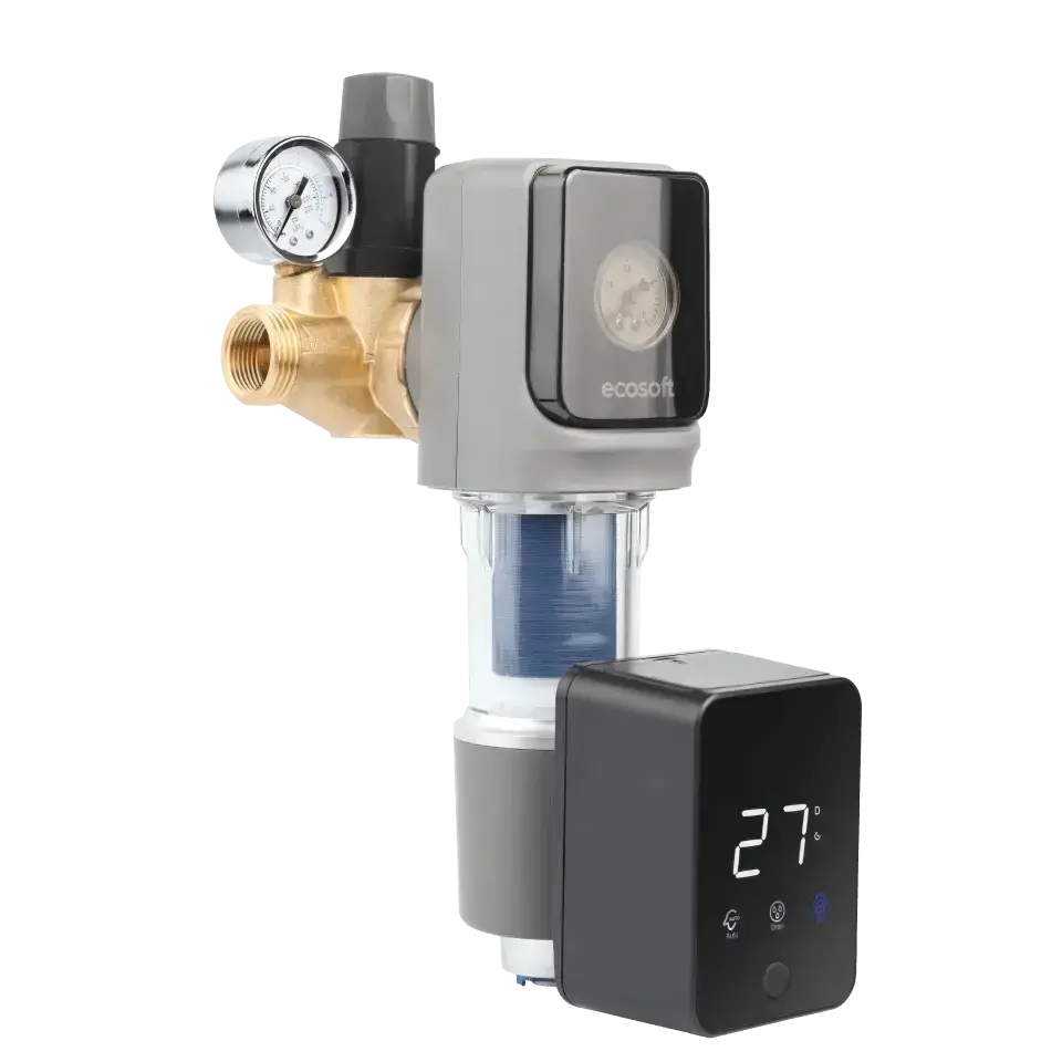 Filtru cu purjare automata, Ecosoft TXHES3, conexiune 1