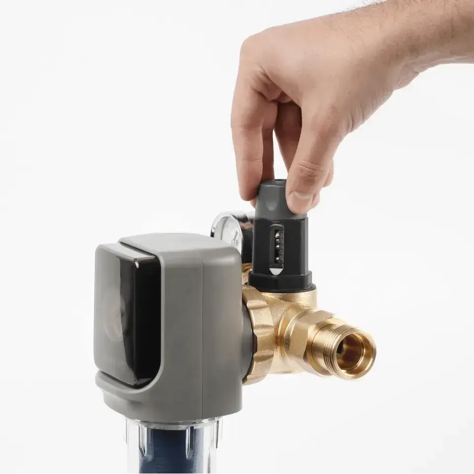 Filtru cu purjare automata, Ecosoft TXHES3, conexiune 1", filtrare sedimente