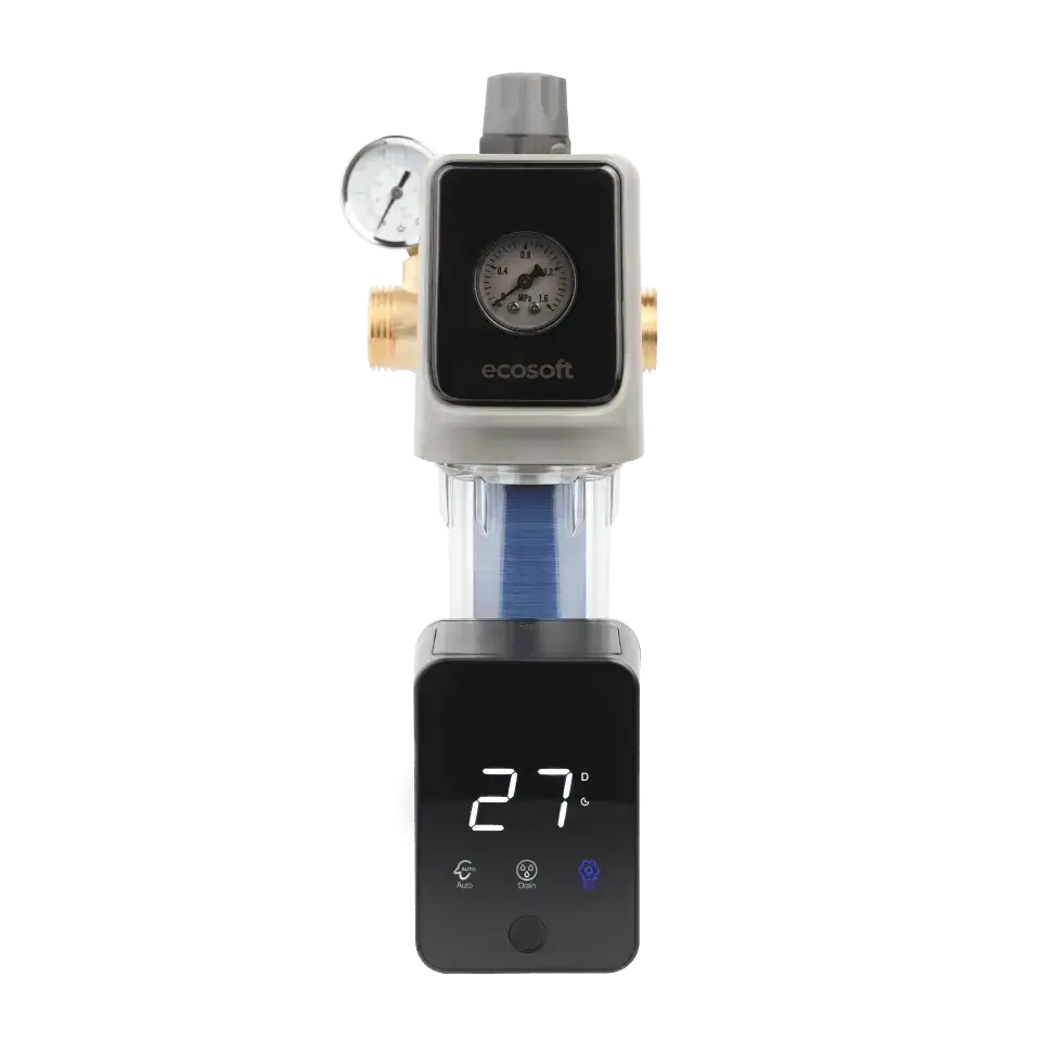 Filtru cu purjare automata, Ecosoft TXHES3, conexiune 1", filtrare sedimente