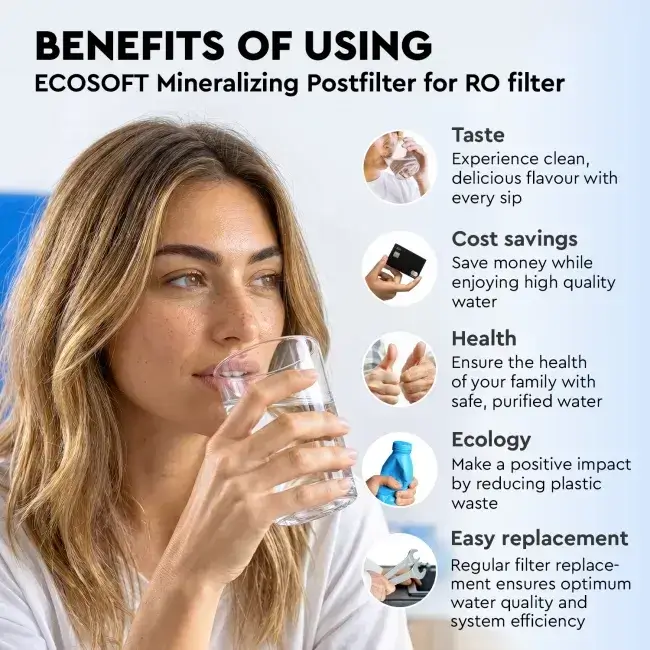 Filtru inline pentru remineralizare, Ecosoft PD2010, mineralizare cu calciu, magneziu și potasiu, conectori rapizi de 1/4