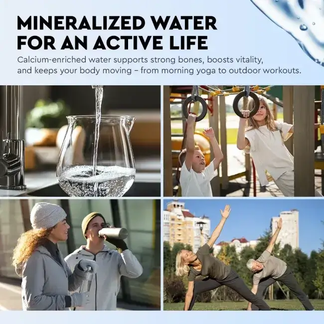 Filtru inline pentru remineralizare, Ecosoft PD2010, mineralizare cu calciu, magneziu și potasiu, conectori rapizi de 1/4