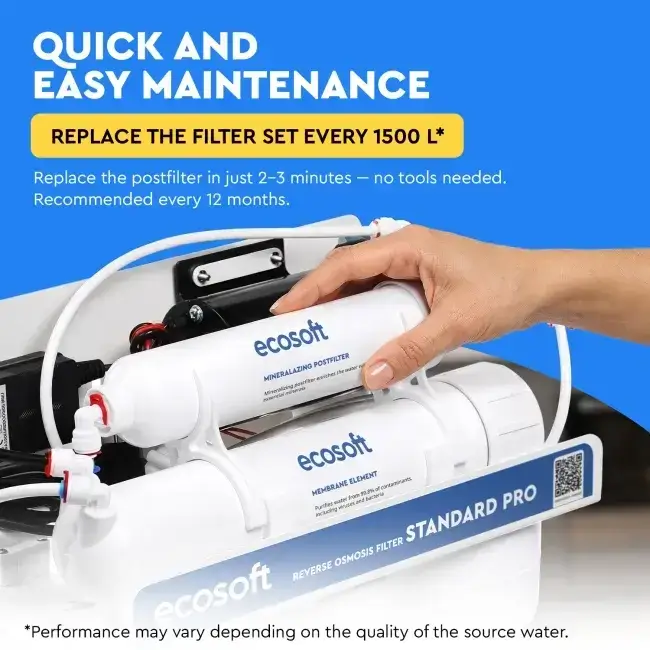 Filtru inline pentru remineralizare, Ecosoft PD2010, mineralizare cu calciu, magneziu și potasiu, conectori rapizi de 1/4