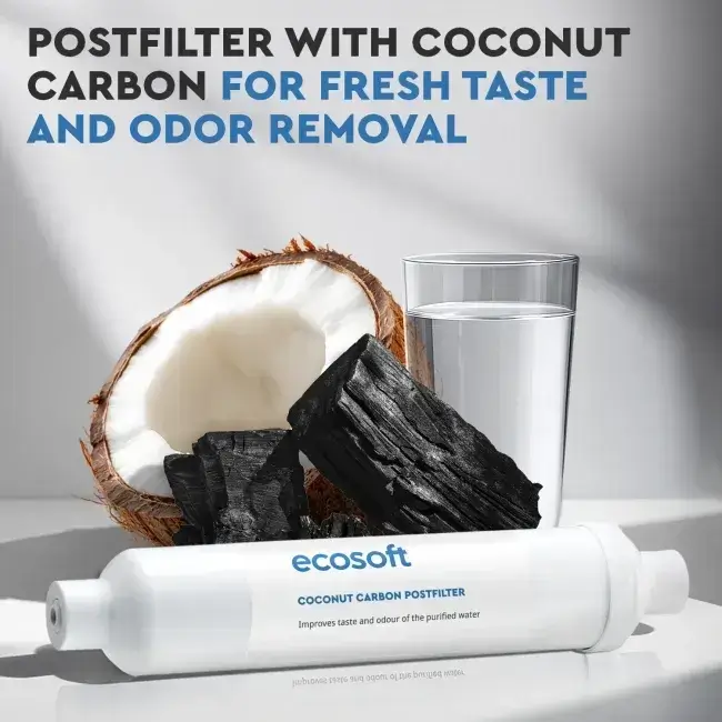 Filtru inline din cărbune activ granular pentru postfiltrare osmoză inversă, Ecosoft CHV2010, din coajă de nucă de cocos, conectori rapizi 1/4