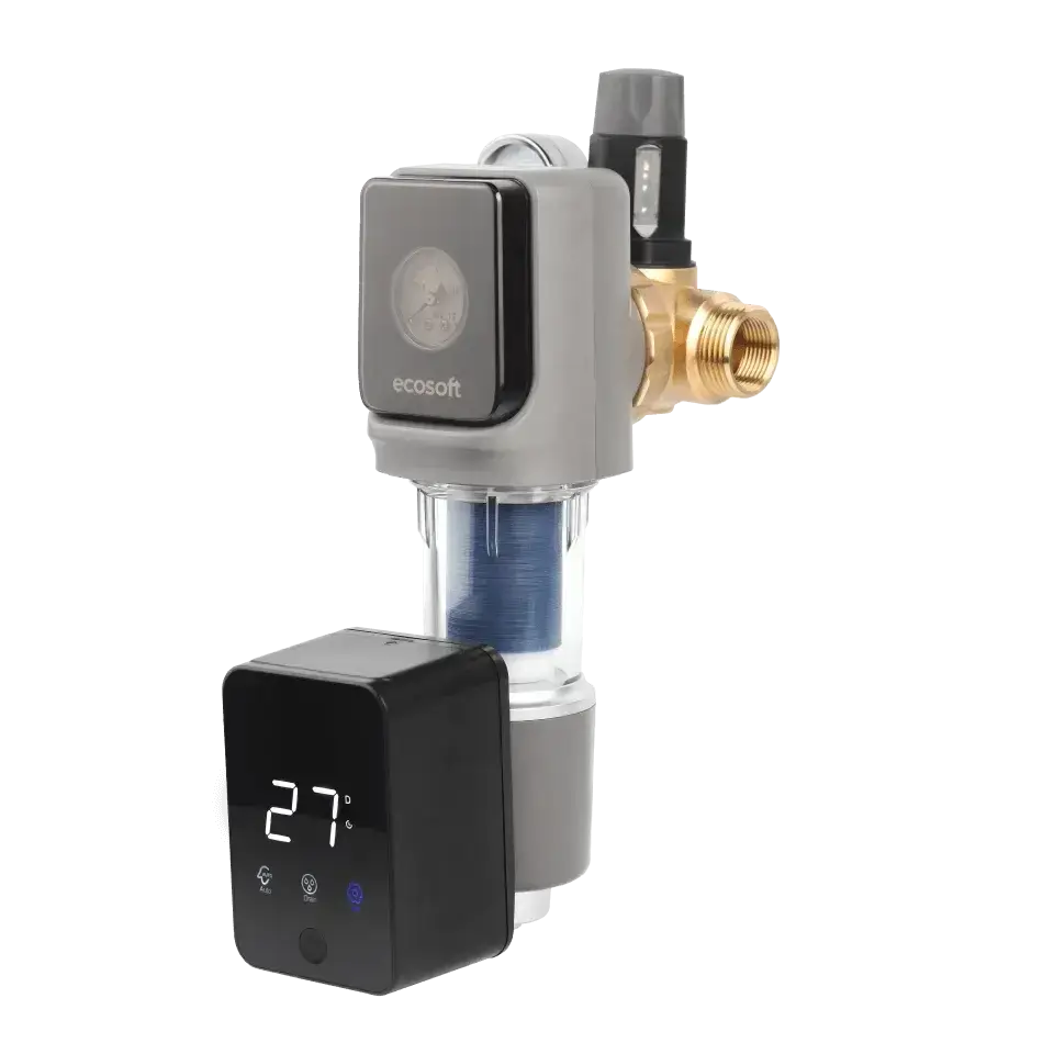 Filtru cu purjare automata, Ecosoft TXHES3, conexiune 1