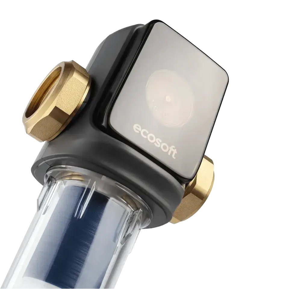 Filtru pentru sedimente cu purjare, Ecosoft TXHES2, conexiune 1