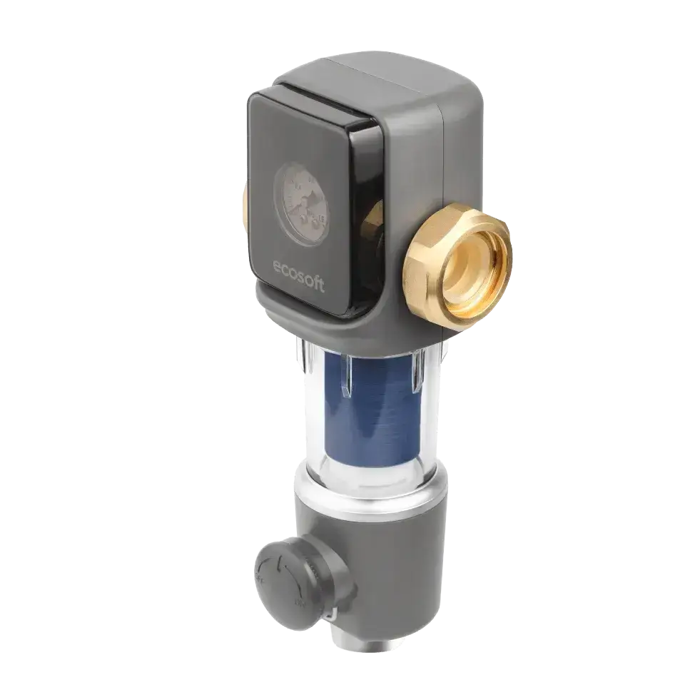 Filtru pentru sedimente cu purjare, Ecosoft TXHES2, conexiune 1