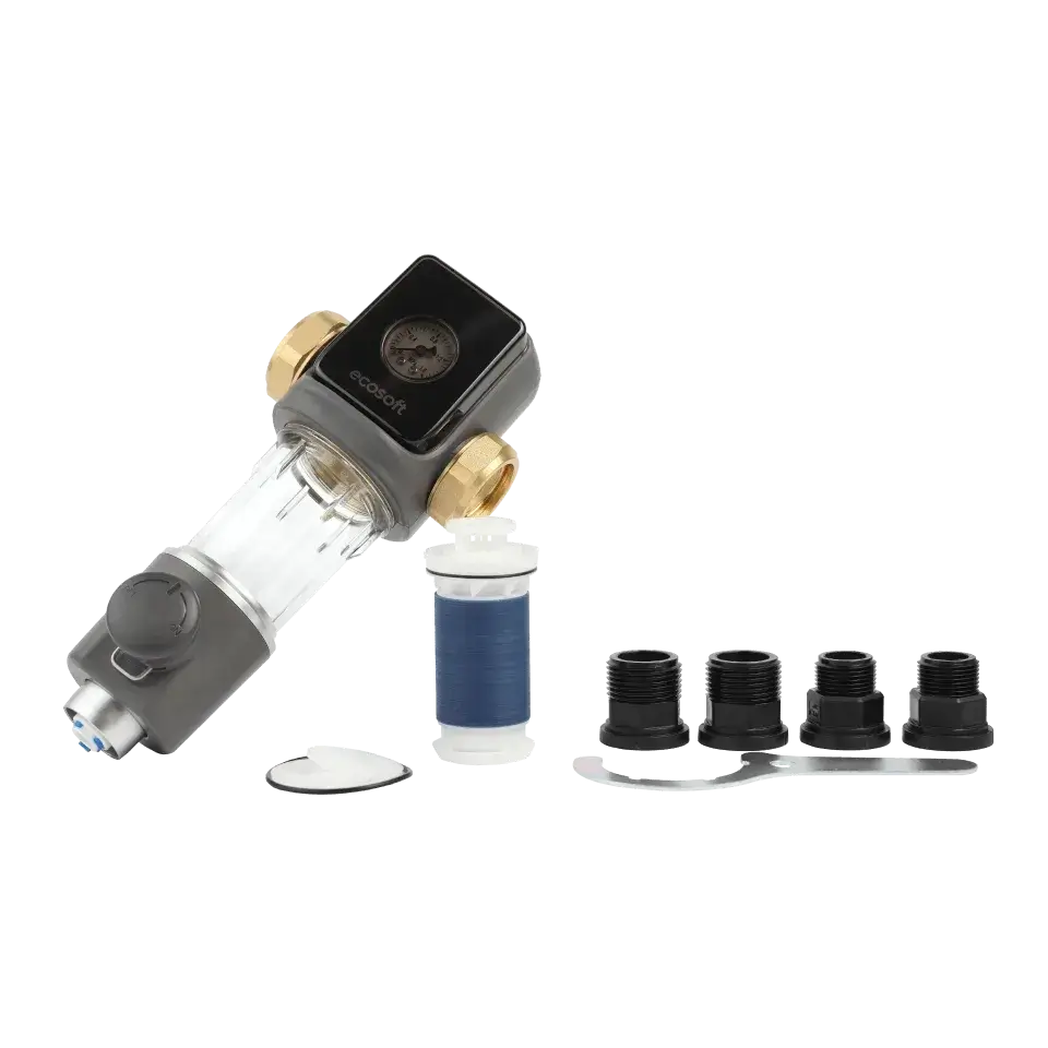 Filtru pentru sedimente cu purjare, Ecosoft TXHES2, conexiune 1