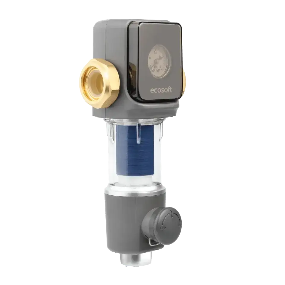 Filtru pentru sedimente cu purjare, Ecosoft TXHES2, conexiune 1